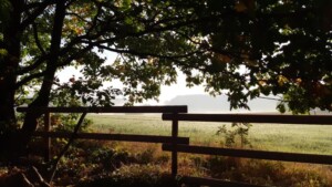 wildkamperen langs de Eifelsteig