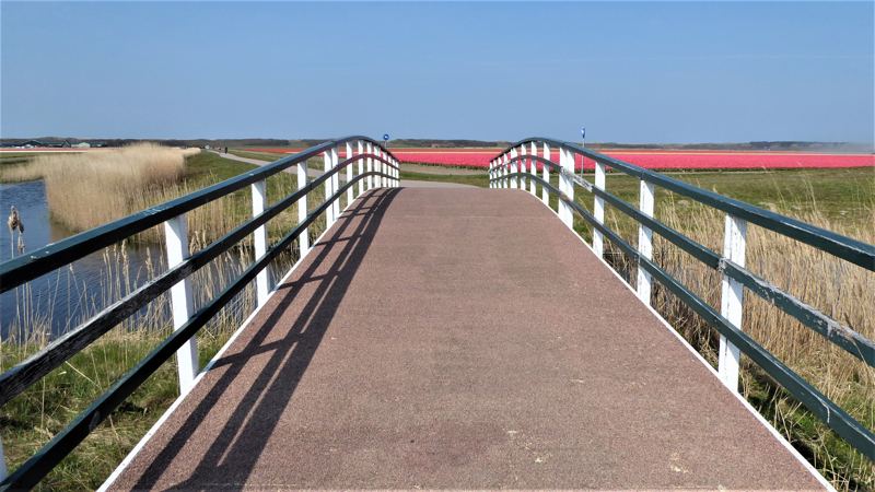 Noord-Hollandpad etappe 3: Wandelen van Den Helder NS naar Julianadorp