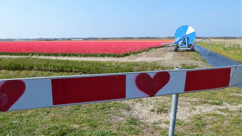 Noord-Hollandpad etappe 3: Wandelen van Den Helder NS naar Julianadorp