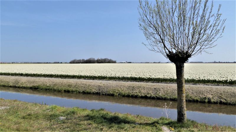 Noord-Hollandpad etappe 3: Wandelen van Den Helder NS naar Julianadorp