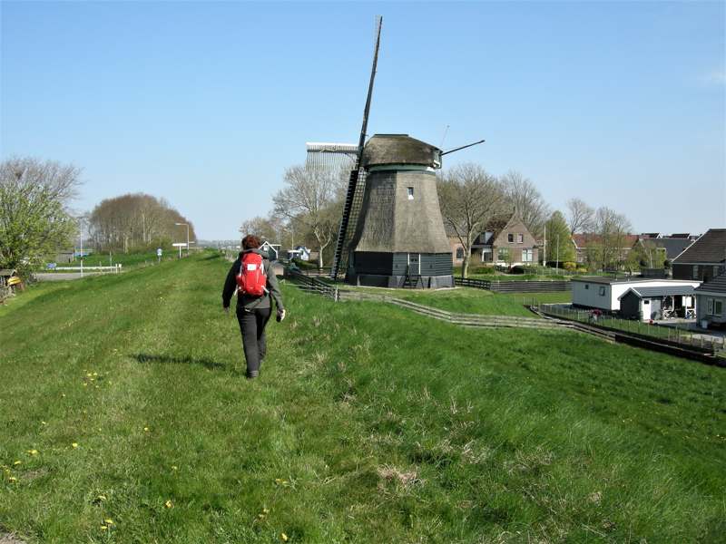 Noord-Hollandpad etappe 4: Wandelen van Julianadorp naar Wieringenwaard