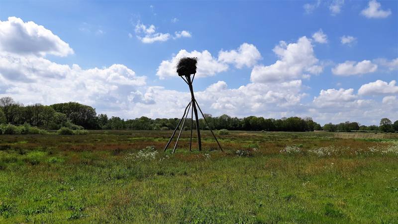 Wandelen in het Reestdal: wandelroute Trage Tocht Oud Avereest