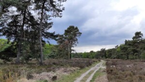 Wandelen in het Reestdal: wandelroute Trage Tocht Oud Avereest