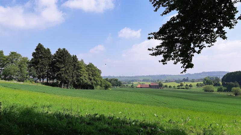 Limburgs landschap