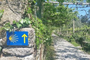 go camino - geornaiseerd camino lopen met bagagevervoer