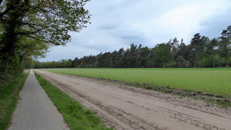 Wandelroute Manderheide