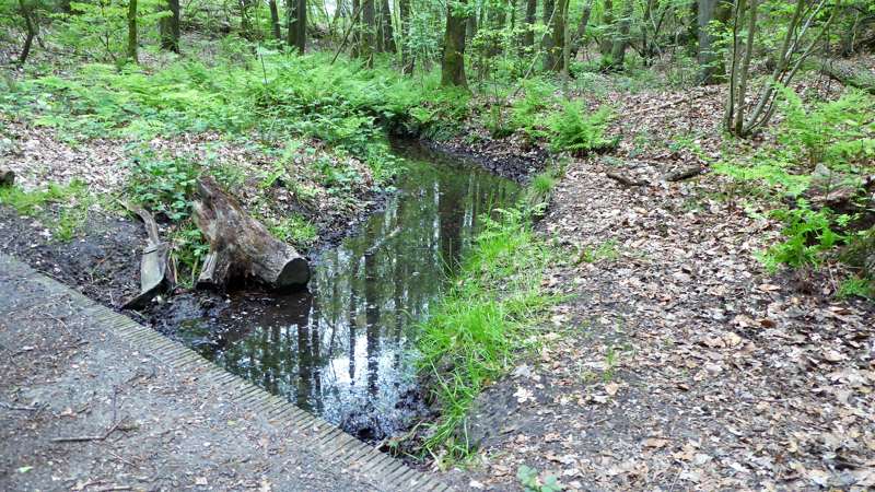 Eendebekbeek - Maderheide - Dal van de Mosbeek
