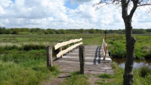 Wandelen in het Reestdal