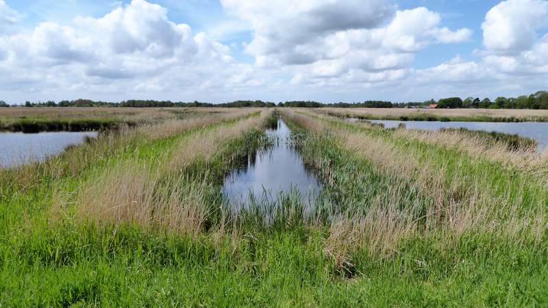 Natuurgebied bij Giethoorn