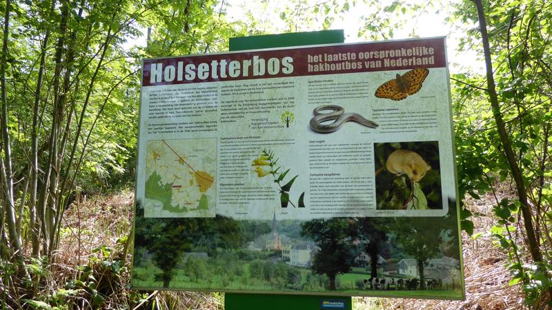 Holstetter Bos