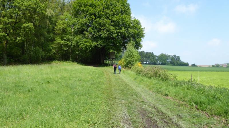 Trage Tocht Holset - wandelen