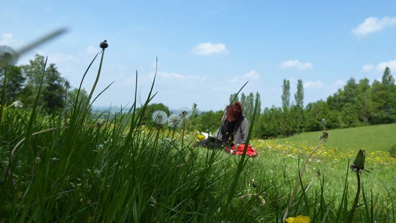 wandelen in Limburg