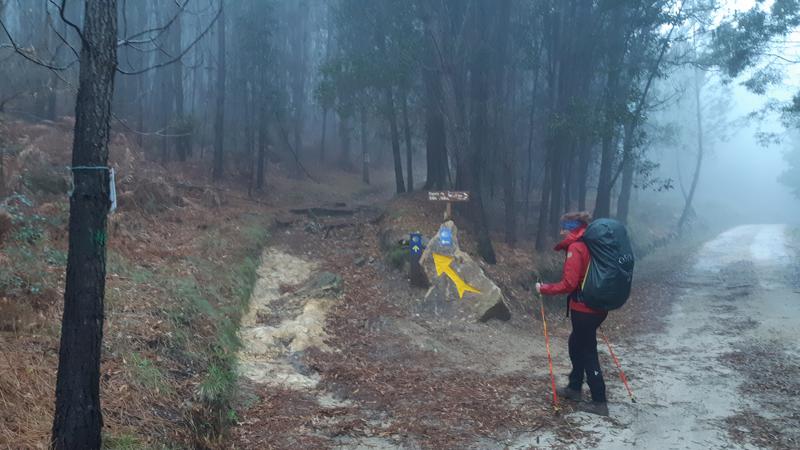 Camino Portugués