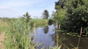Noord-Hollandpad etappe 14 - Natuurreservaat Botshol