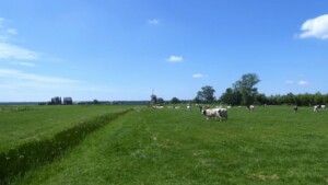 Noord-Hollandpad etappe 15: wandelen van Abcoude tot ’s Gravenland - Hollands landschap