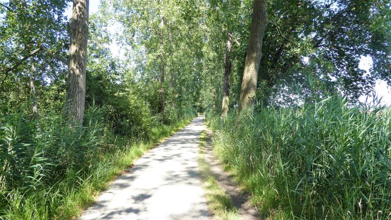 Noord-Hollandpad etappe 15: wandelen van Abcoude tot ’s Gravenland