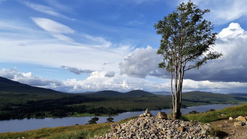 Eenzame bom langs de West Highland Way