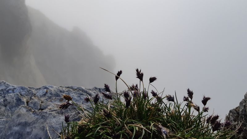 Mount Olympus - De mist trekt op