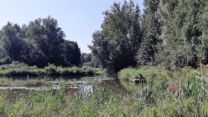 Kastelenroute Rhoon en Valckesteijn