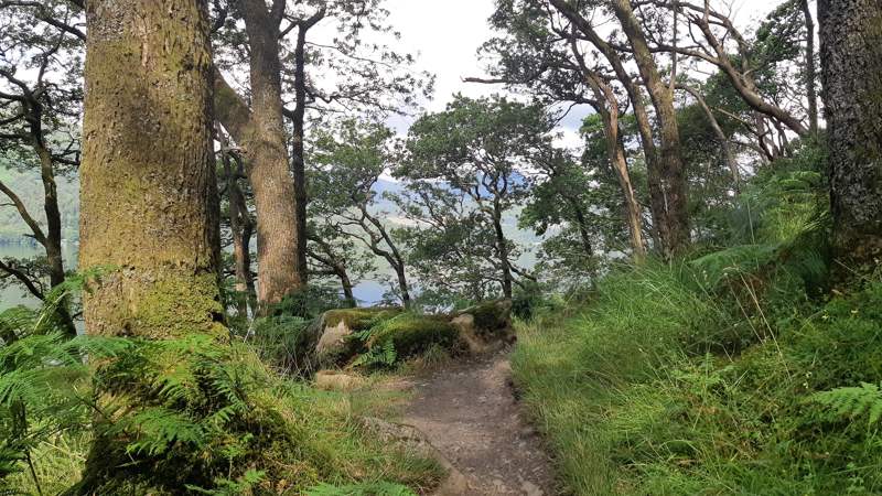 Wandelen langs loch Lomond