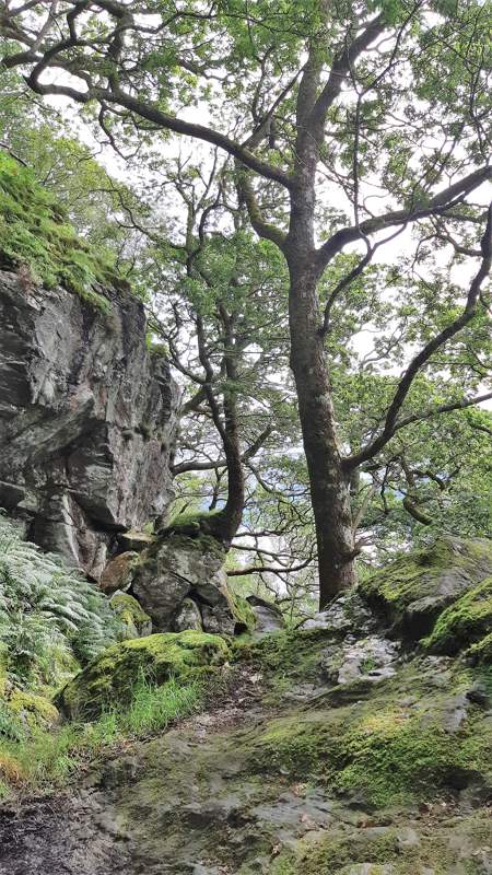 Wandelen langs loch Lomond