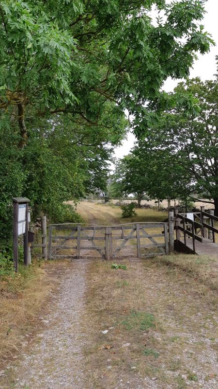 Wandelen op Öland - Stora Alvarleden