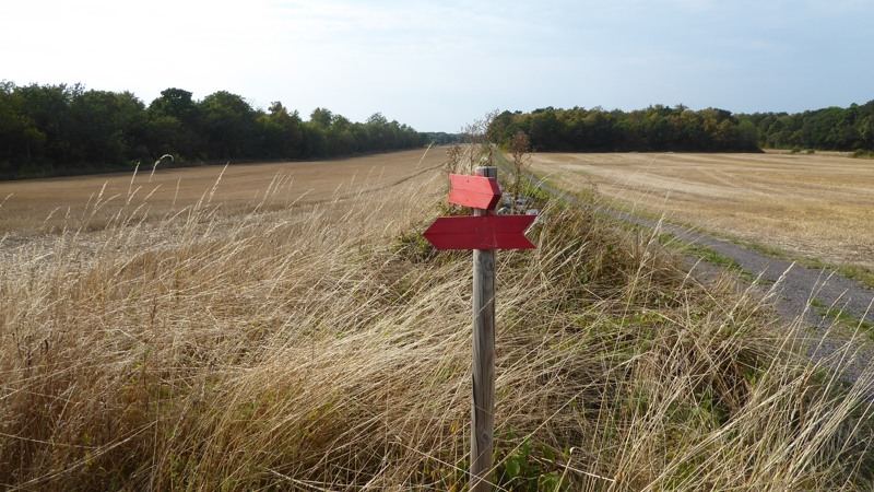 Wandelen op Oland - Mörbylångaleden