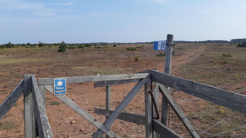 Wandelen op Öland - Stora Alvarleden