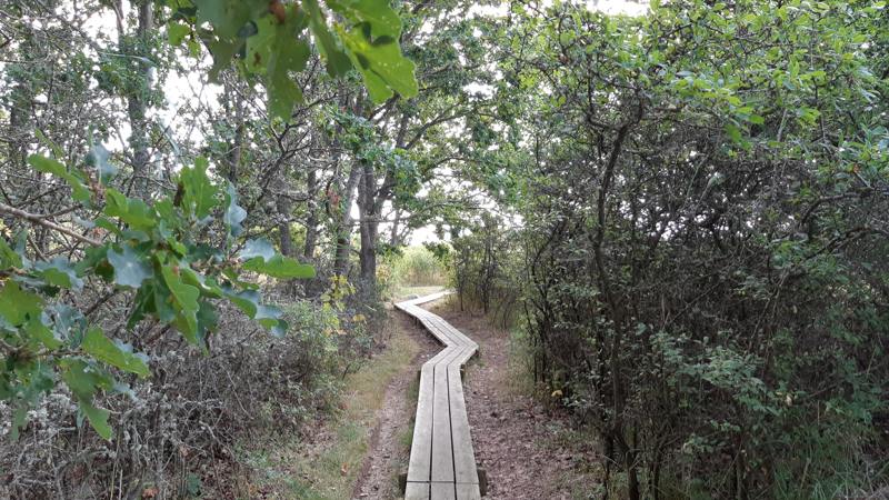 Wandelen op Oland - Mörbylångaleden