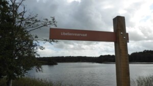 Waterland van Friesland -De Wyldemerk