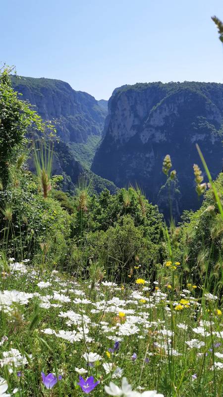 De Vikos Kloof - Zagoria -, Griekenland