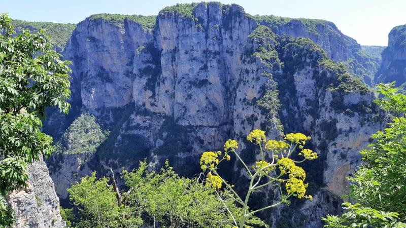 De Vikos Kloof - Zagoria -, Griekenland