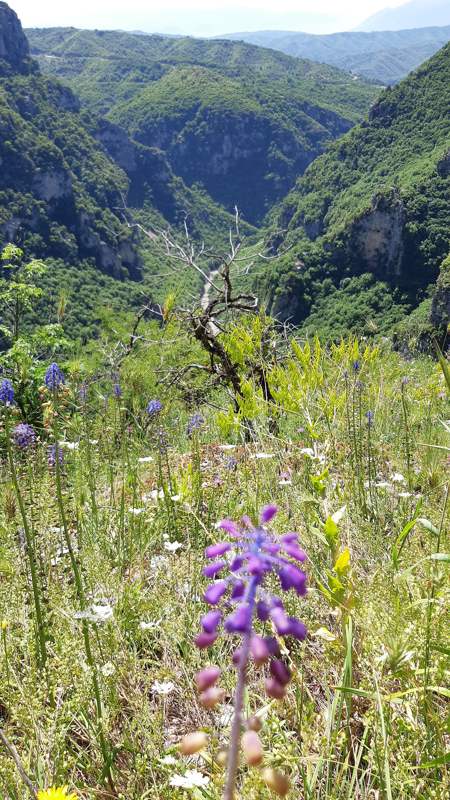 Pindosgebergte, Zagoria