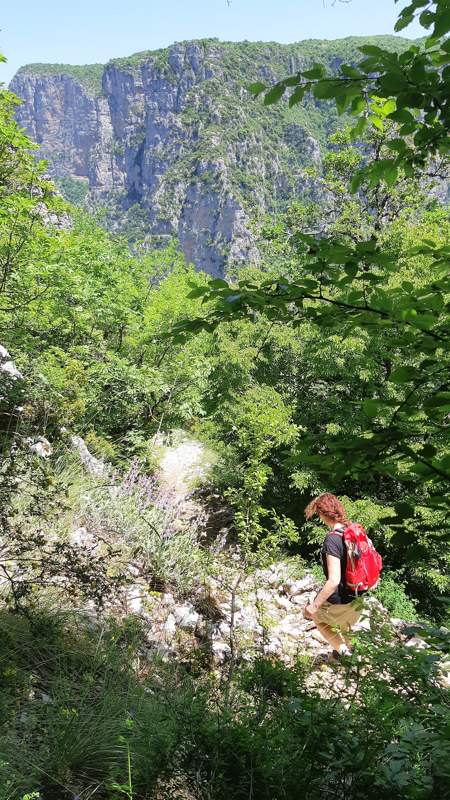 Wandelen in de Vikos Kloof - Zagoria - Griekenland