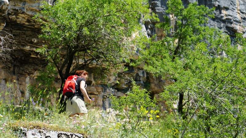 Wandelen in de Vikos Kloof - Zagoria - Griekenland