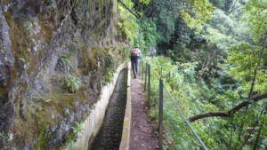 Wandelen op Madeira langs Levada do Furado