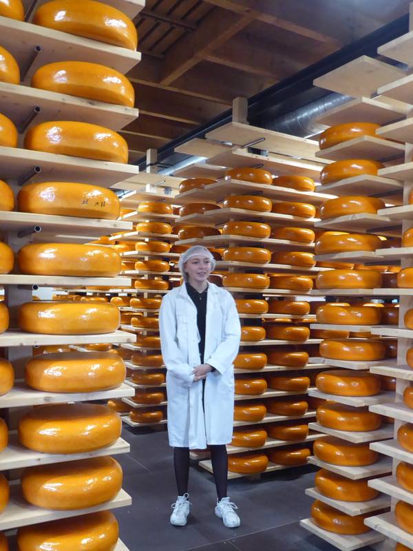 Cheese experience Woerden
