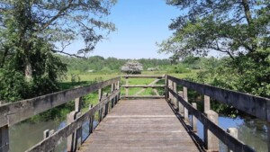 De vijf mooiste wandelingen van Overijssel