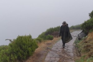 Pico Ruivo, Madeira , in de mist