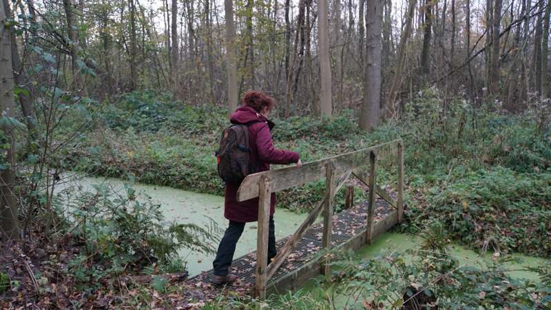 Wandelvrouw wandelt Trage Tocht Lisse