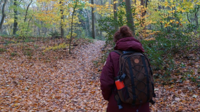 Wandelvrouw wandelt Trage Tocht Lisse