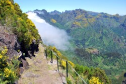 Wandelvakantie Madeira Eigen Wijze Reizen
