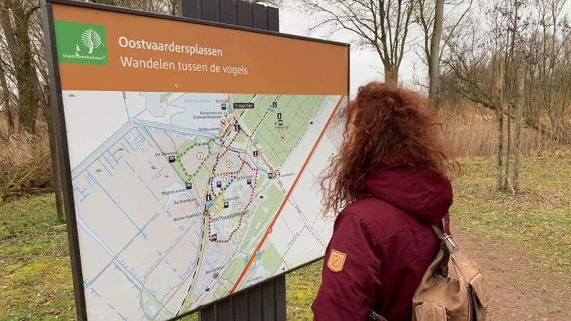 Winterwandelen door de Oostvaardersplassen over het Boswachterspad ’t Lange Pad