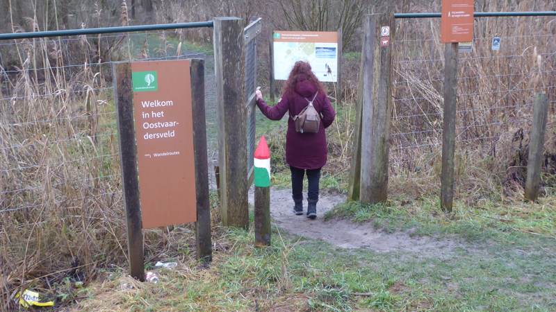 Oostvaardersplassen - Oostvaardersveld