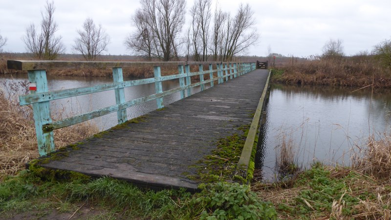 Oostvaardersplassen