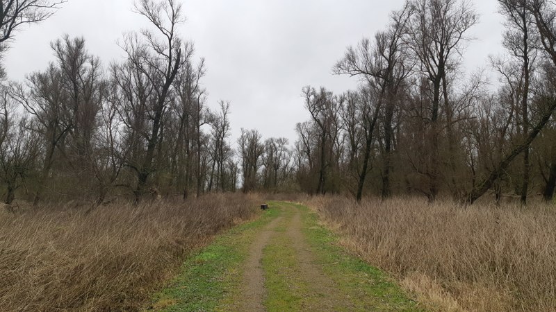 Oostvaardersplassen