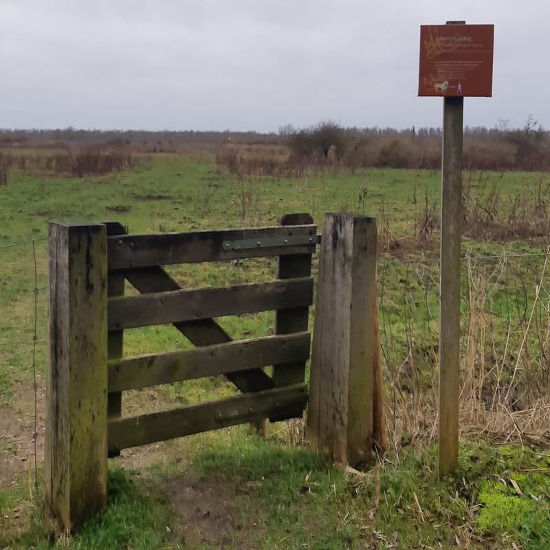 Oostvaardersplassen