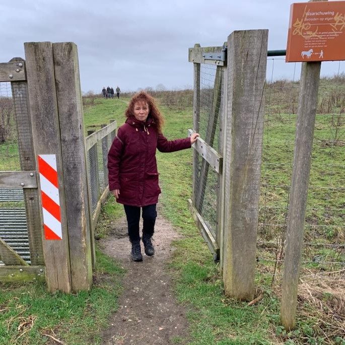 wandelen in de Oostvaardersplassen