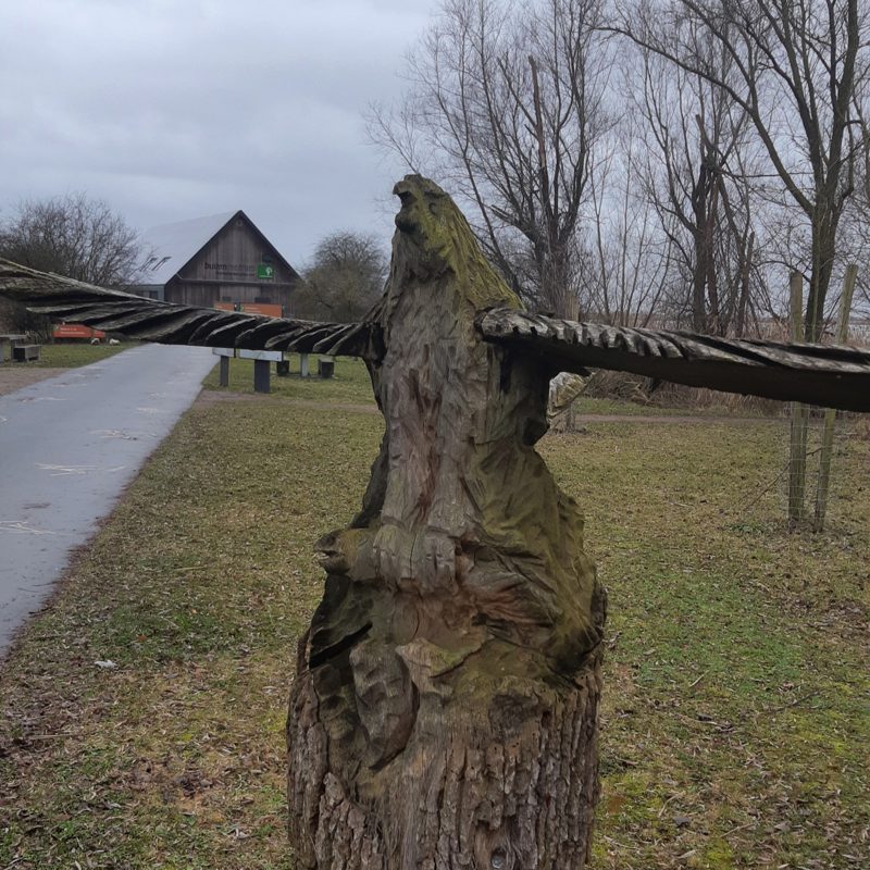 Buitencentrum oostvaardersplassen