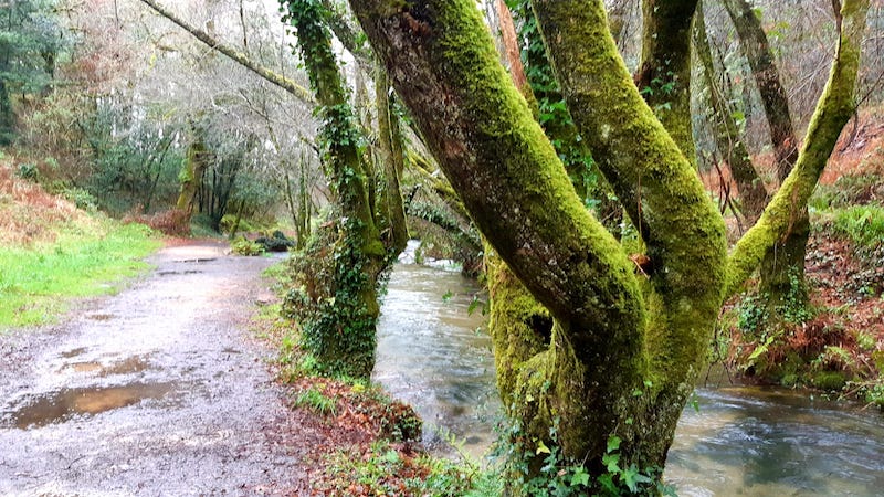 La Ruta de la Piedra y del Agua